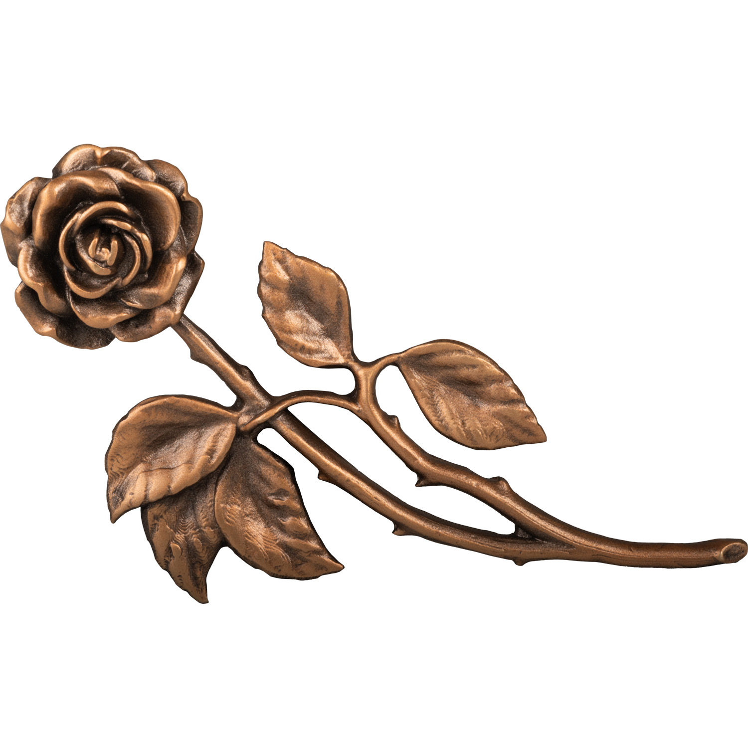 Rose 02001 | Bronze